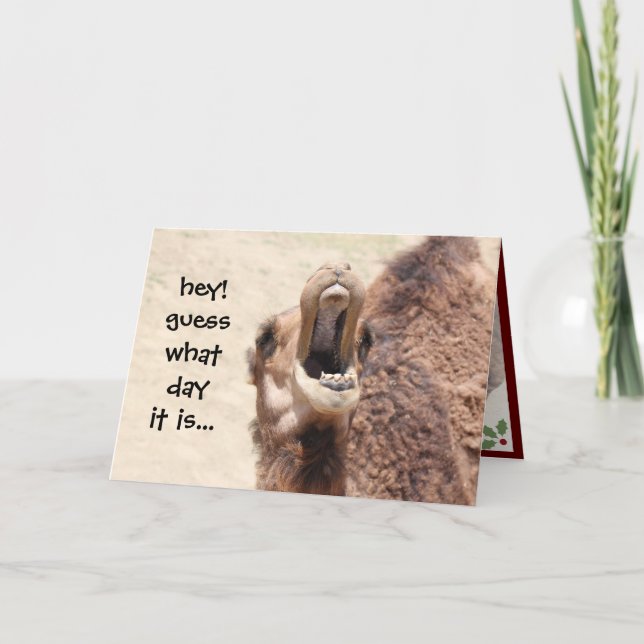 Funny Camel Hump Day Christmas Card (Front)