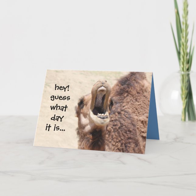 Funny Camel Hump Day Easter Card (blue) (Front)