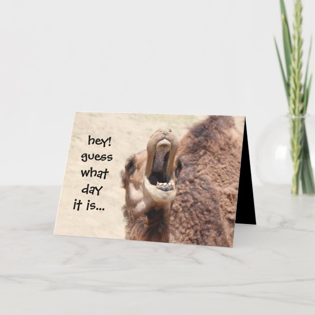 Funny Camel Hump Day Valentine Card (Front)
