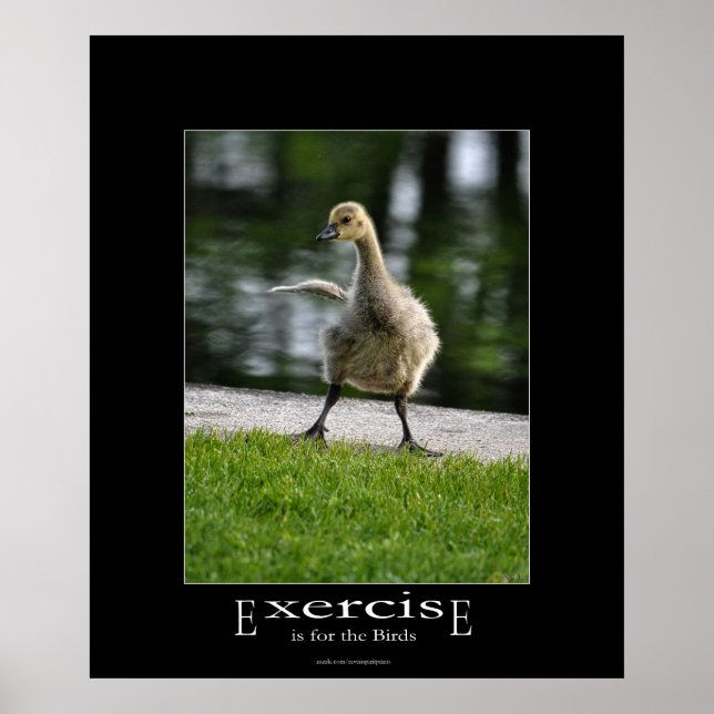 Funny Canada Goose Gosling Exercise Demotivational Poster (Front)