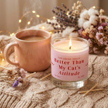 Funny Candle Gift Cat Pet Lover Owner Scented