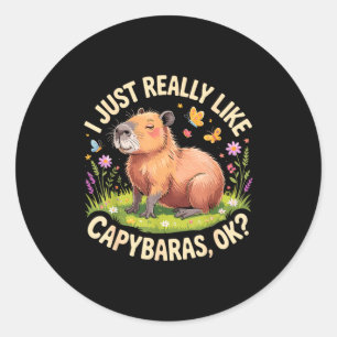 Funny Capybara Art For Men Women Kids Capy Rodent  Classic Round Sticker