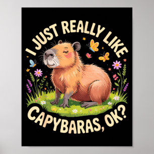 Funny Capybara Art For Men Women Kids Capy Rodent Poster