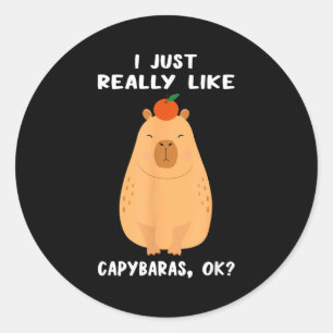 Funny Capybara Art For Men Women Kids Rodent Capyb Classic Round Sticker