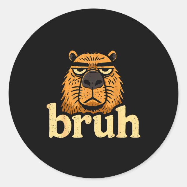 Funny Capybara Bruh Sarcastic Animal Meme Boys Tee Classic Round Sticker (Front)