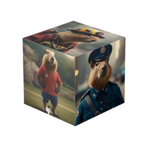 Funny Capybara Images, Cube