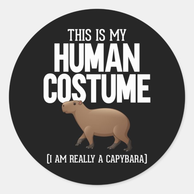 Funny Capybara Lover Cute Animal Classic Round Sticker (Front)