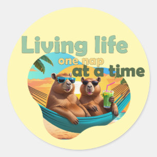 funny capybara lovers gift ,cute capybara ,don’t w classic round sticker