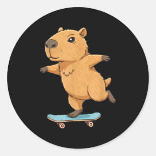 Funny Capybara Skater Skateboard Ballerina Zoo Boy Classic Round Sticker