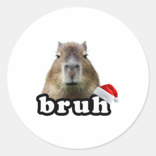 Funny Capyra Christmas  Classic Round Sticker