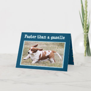 Funny Card with "The Birthday Basset"