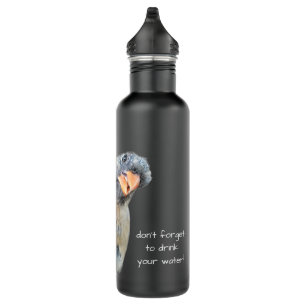 Funny Cardinal, Reminder to drink water! 710 Ml Water Bottle
