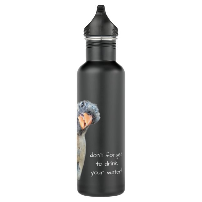 Funny Cardinal, Reminder to drink water! 710 Ml Water Bottle (Right)