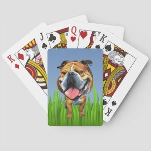 Funny Cartoon Bulldog Playing Cards