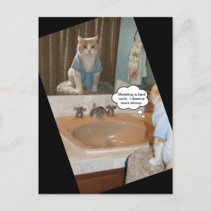 Funny Cat Affirmation About a Raise Postcard