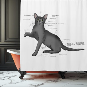 Funny Cat Anatomy Diagram Humour Nerdy