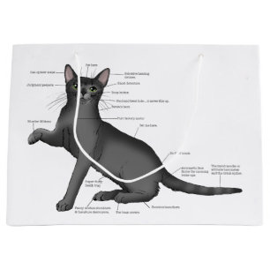 Funny Cat Anatomy Diagram Humour Nerdy Large Gift Bag