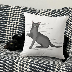 Funny Cat Anatomy Diagram Humour Nerdy Throw Pillow