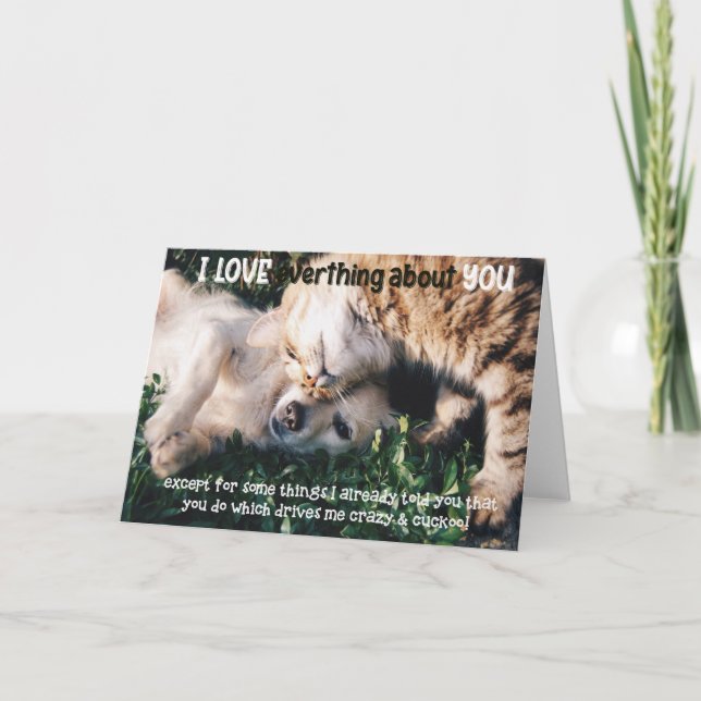 Funny Cat and Dog Birthday Card (Front)