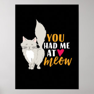 Funny Cat and Kitten Love You Had Me At Meow Poster
