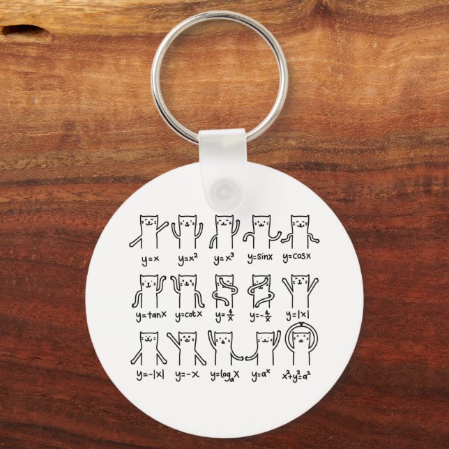 Funny Cat And Math, Cat And Algebra Lover, Funny C Keychain (Front)