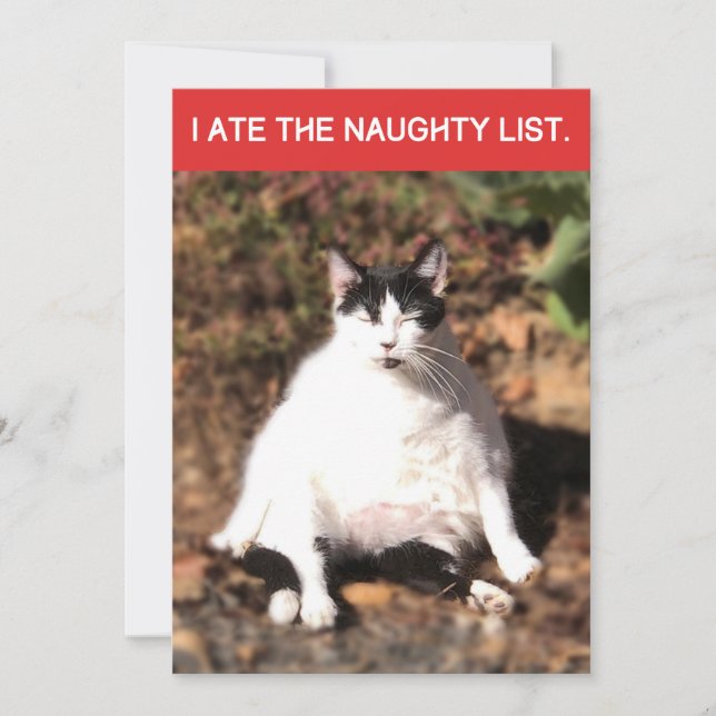 Funny Cat Ate Santa's Naughty List Christmas Holiday Card (Front)