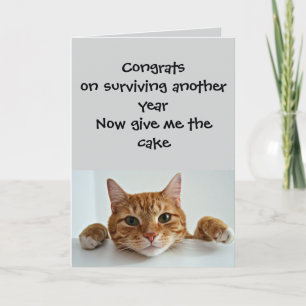 Funny Cat Birthday Card