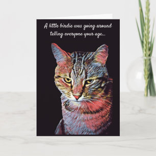 Funny Cat Birthday Card