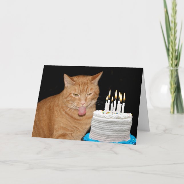 Funny cat birthday card (Front)