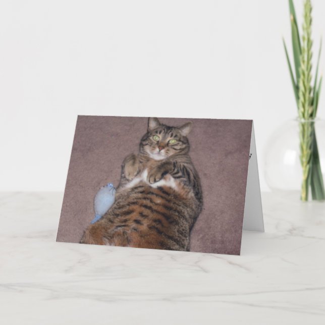 Funny Cat Birthday Card (Large Print) (Front)