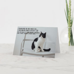 Funny Cat Birthday Greeting Card 