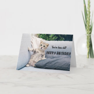 Funny Cat Birthday Greeting Card