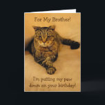 Funny Cat Brother Birthday Card<br><div class="desc">Birthday card for a brother featuring Rupie putting his paw down for some special fun. Inside photo shows he means business. Personalize with your own message. Thanks very much for looking. Photos ©Christine Greenspan</div>