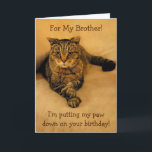 Funny Cat Brother Birthday Card<br><div class="desc">Birthday card for a brother featuring Rupie putting his paw down for some special fun. Inside photo shows he means business. Personalize with your own message. Thanks very much for looking. Photos ©Christine Greenspan</div>