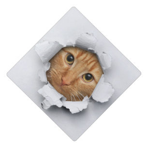 Funny Cat Bursting Out Graduation Cap Topper