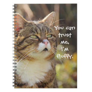 Funny Cat Caption Trust Me I'm Fluffy Notebook