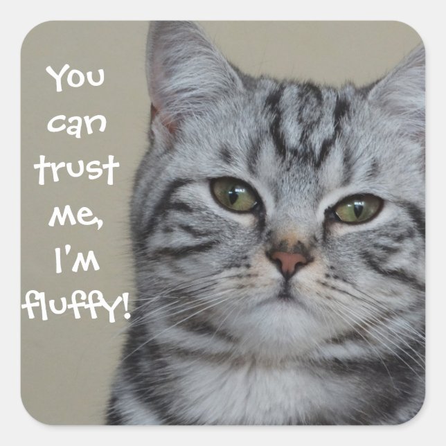 Funny Cat Caption Trust Me I'm Fluffy Square Sticker (Front)