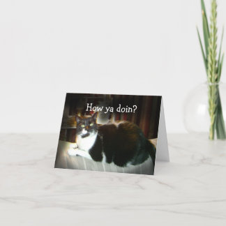 Funny Cat Card How Ya Doin, Thinking of You