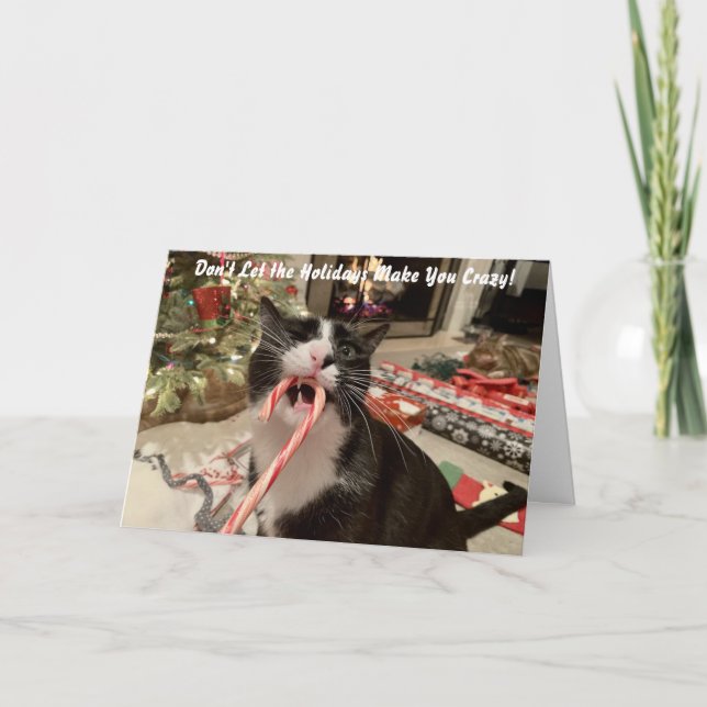 Funny Cat Christmas Card (Front)