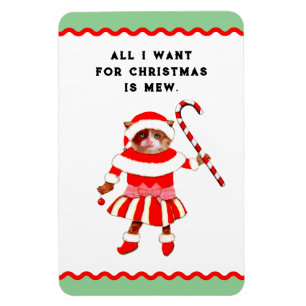 Funny Cat Christmas Cards Magnet
