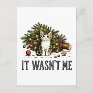 Funny Cat Christmas It Wasn't Me Invitation Postcard