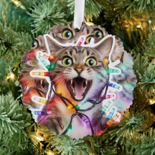 Funny Cat Christmas Lights Paper Ornament Card
