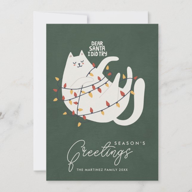 Funny Cat Christmas Lights Season's Greetings Holiday Card (Front)