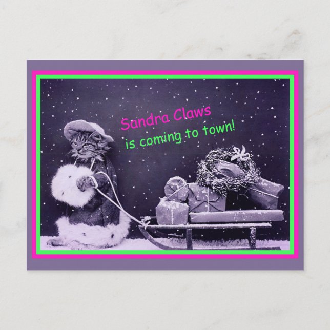 Funny Cat Christmas Vintage  Postcard (Front)