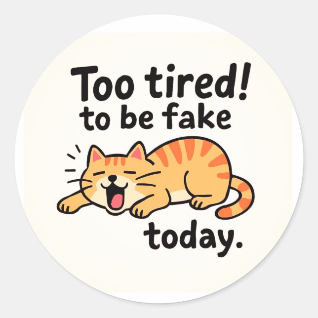  Funny Cat  Classic Round Sticker (Front)