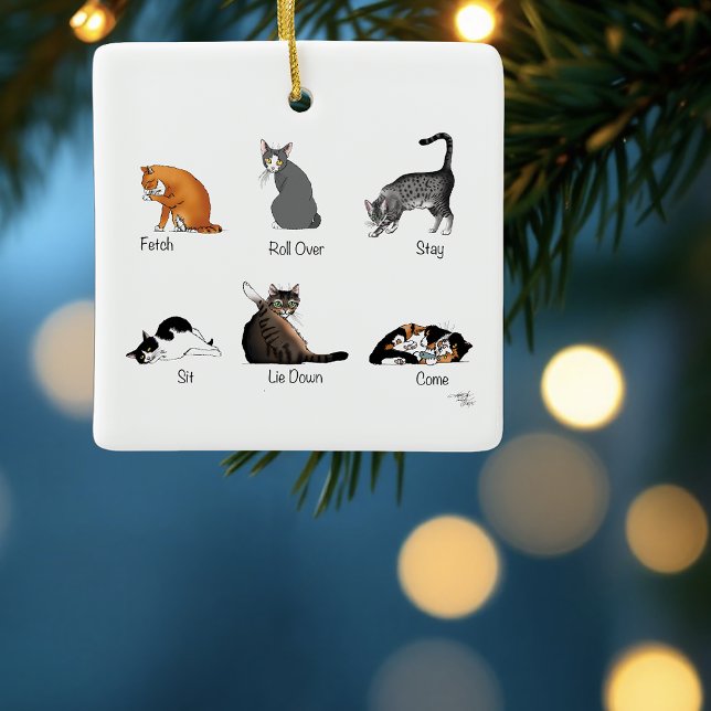 Funny Cat Commands Illustrated Training Chart Ceramic Ornament (Creator Uploaded)