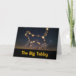 Funny Cat Constellation greeting Card