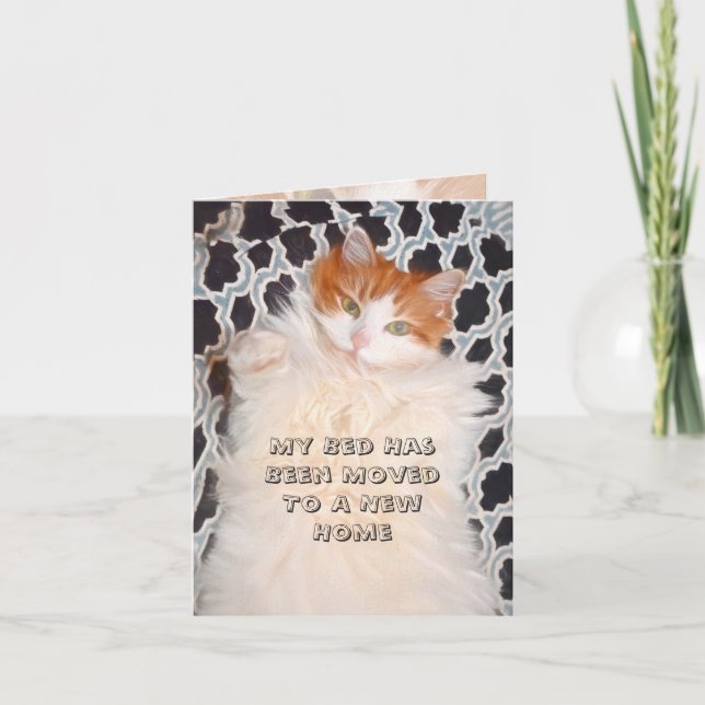 Funny Cat Cute Moving New Address Announcement (Front)