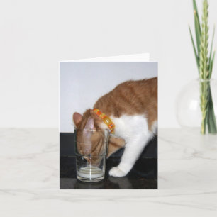 Funny Cat Drinking from Glass Blank Note Card