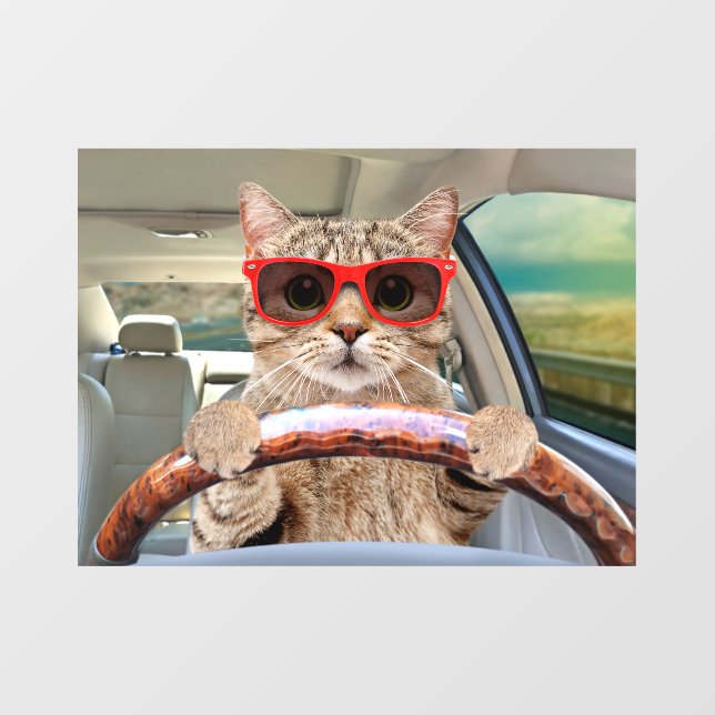 Funny Cat Driving Car Shade 11" x 8" Window Cling (Sheet)